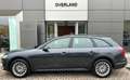 Audi A4 allroad A4 allroad 40 TDI 204 CV S tronic Business Grau - thumbnail 6