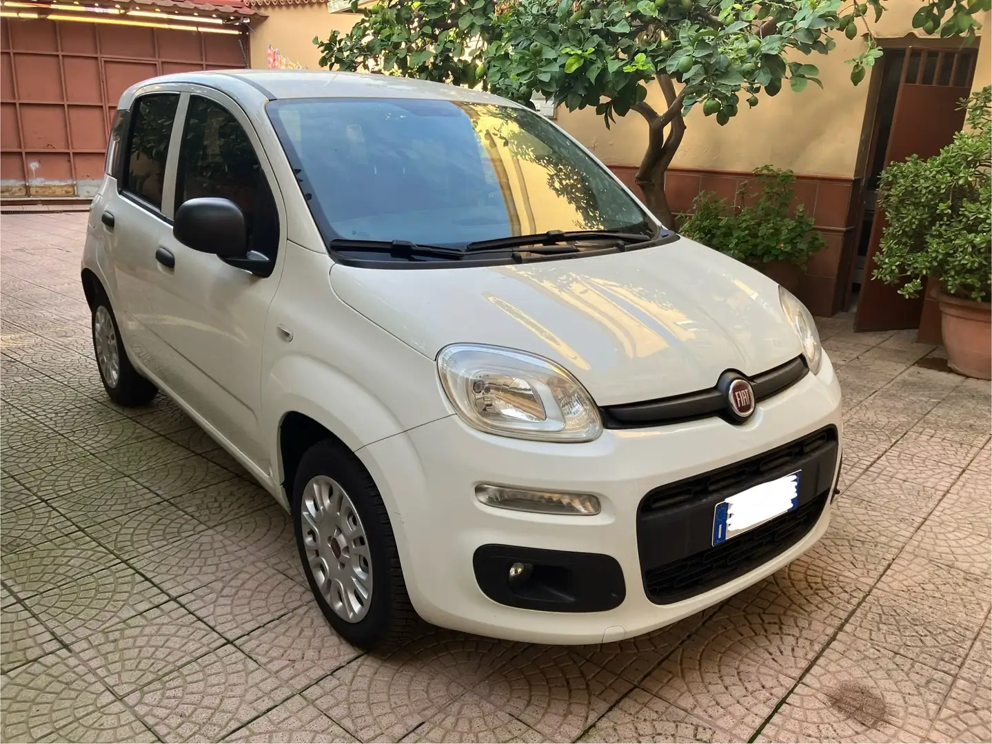 Fiat Panda 1.2 L easypower Gpl 69cv my19 Weiß - 2