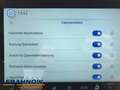Ford Tourneo Custom 2.5 Duratec PHEV Titanium LED NAVI ACC el.Tür Grau - thumbnail 21