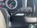 Skoda Karoq 1.6 tdi Style dsg Grau - thumbnail 20