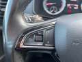 Skoda Karoq 1.6 tdi Style dsg Grau - thumbnail 17