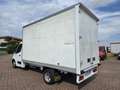Renault Master Gemellato con Boxe Bianco - thumbnail 4