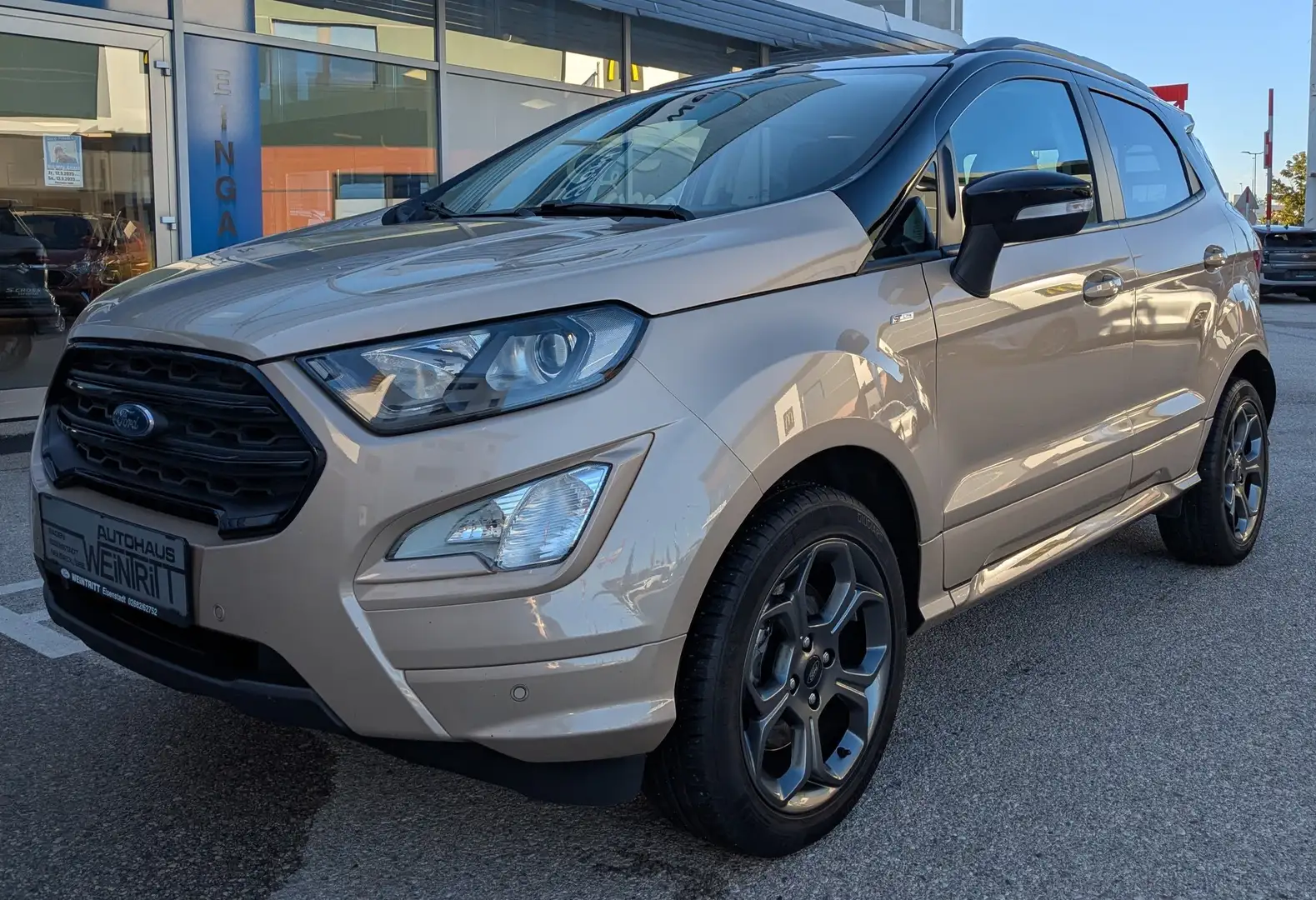 Ford EcoSport ST-Line Grau - 2