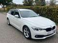 BMW 318 F31 Touring 318 d Advantage LCI Facelift Blanc - thumbnail 2