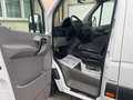 Mercedes-Benz SPRINTER PRITSCHE DOKA 7SITZER KLIMA BLUETOO AHK Weiß - thumbnail 10