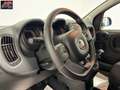 Fiat Panda Panda Cross 1.0 FireFly S&S Hybrid *PROMO* Vert - thumbnail 23