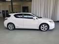 Lexus CT 200h 200h Hybrid Blanco - thumbnail 3