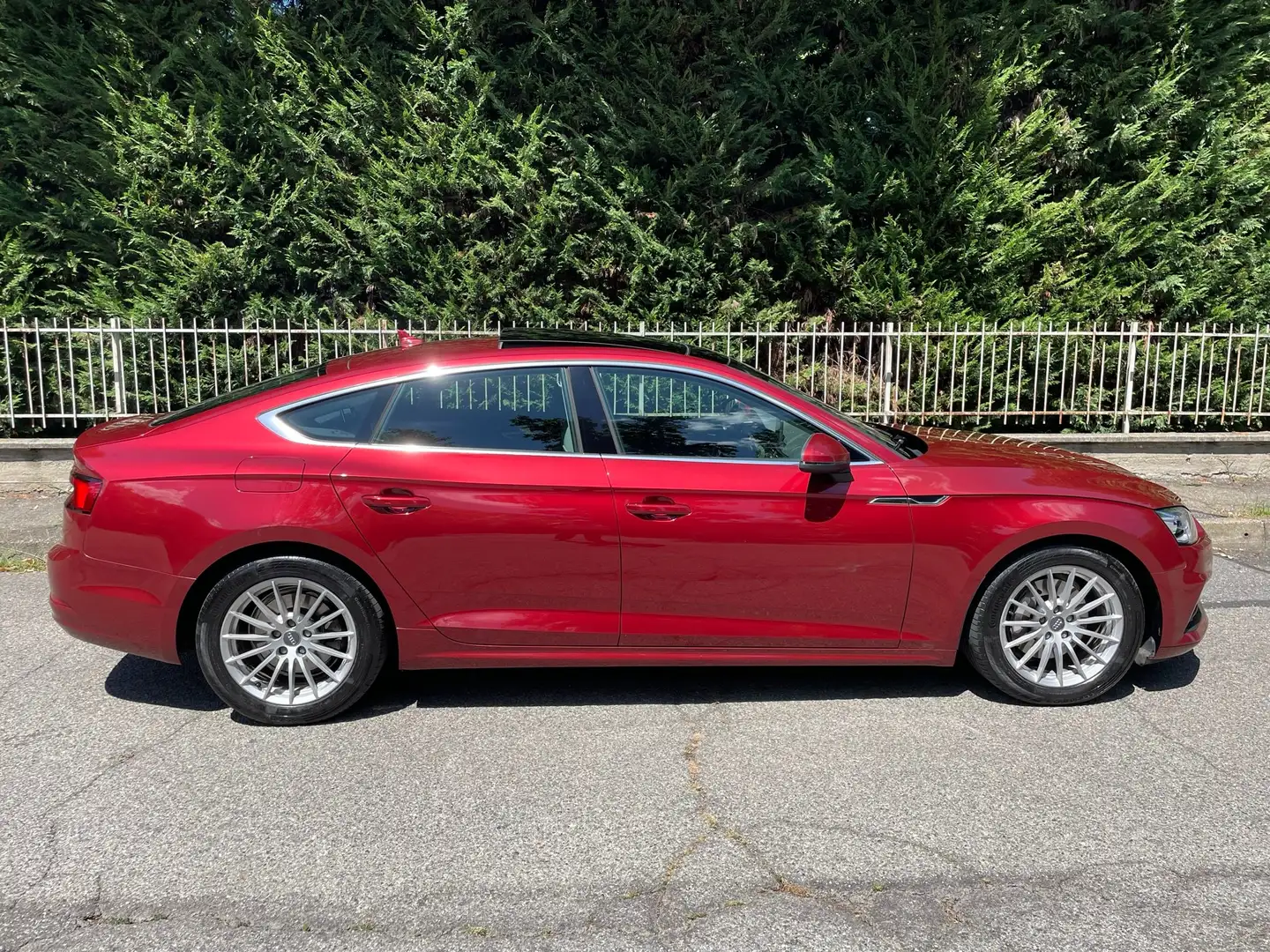 Audi A5 Sportback 3.0 TDI Quattro 218cv S-tronic Euro6 Rosso - 2