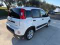 Fiat Panda Panda 1.0 FireFly S&S Hybrid City Life Bianco - thumbnail 3