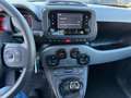 Fiat Panda Panda 1.0 FireFly S&S Hybrid City Life Bianco - thumbnail 8