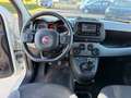 Fiat Panda Panda 1.0 FireFly S&S Hybrid City Life Bianco - thumbnail 7