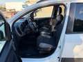 Fiat Panda Panda 1.0 FireFly S&S Hybrid City Life Bianco - thumbnail 5