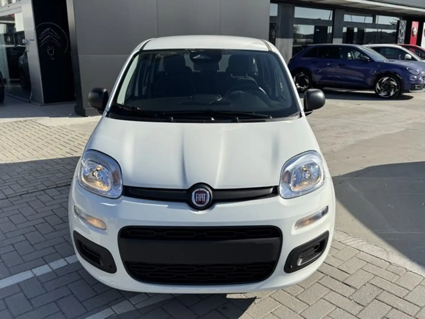 Fiat Panda My25 1.0 70cv Hybrid Panda Bianco - 2