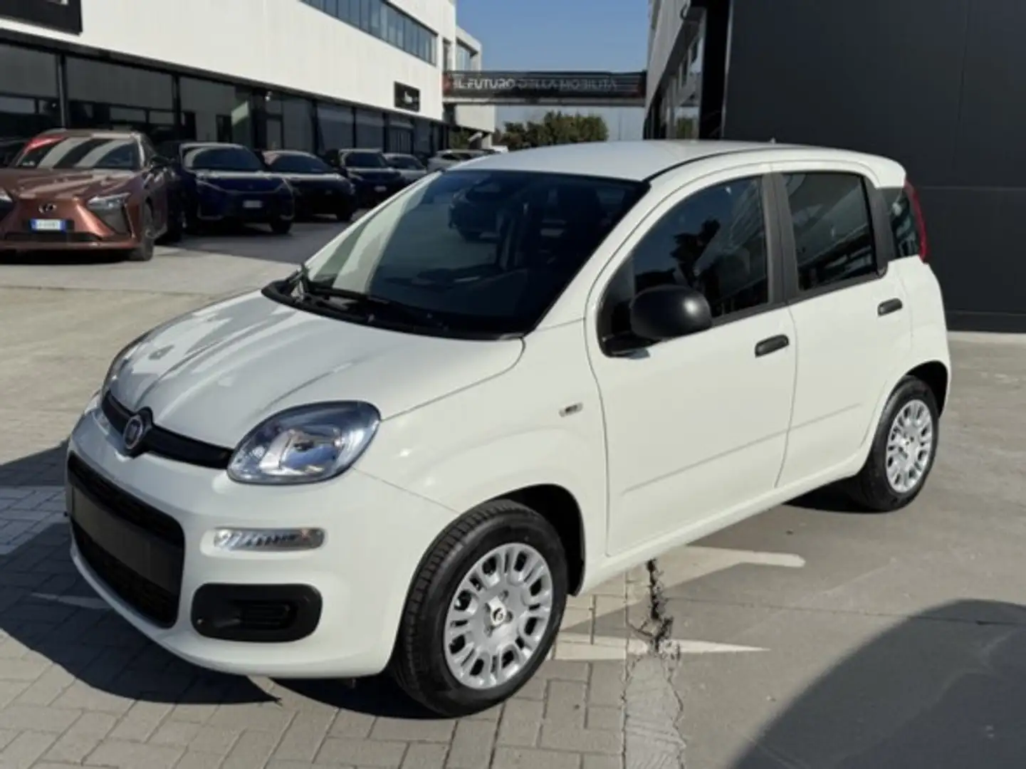 Fiat Panda My25 1.0 70cv Hybrid Panda Bianco - 1