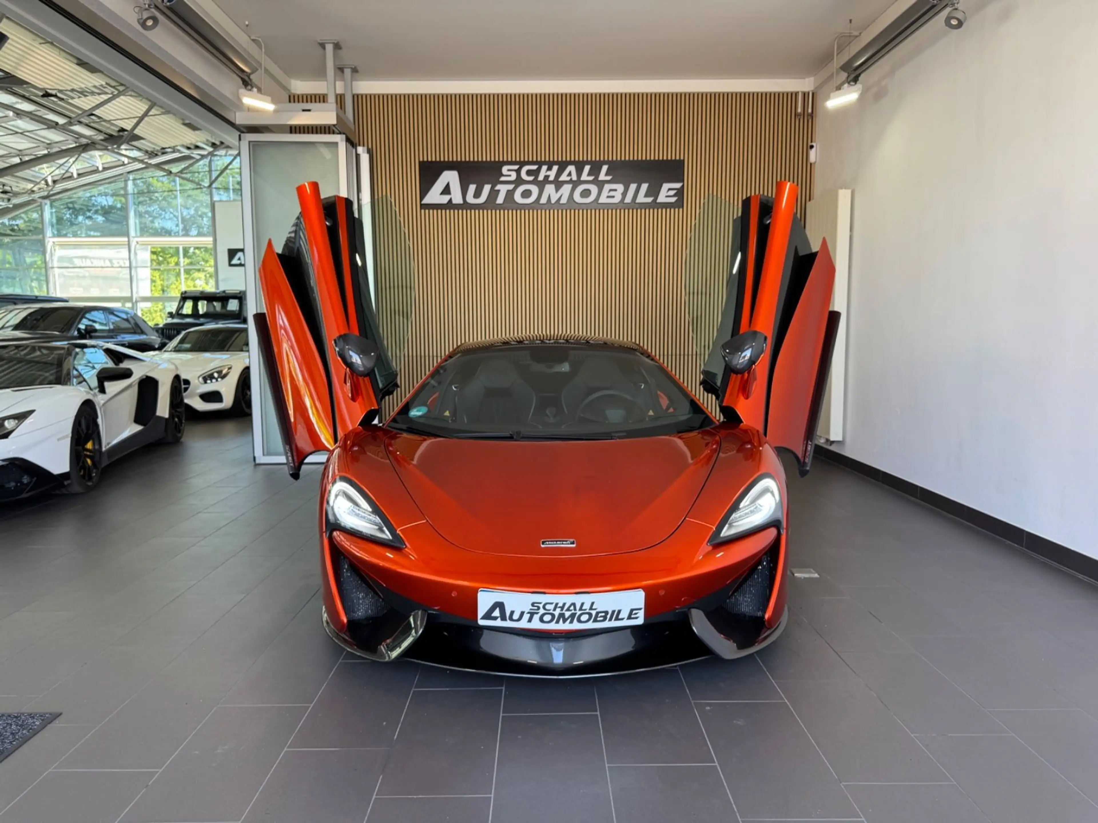 McLaren 570GT 3.8 V8 *LIFT*B&W*SoftClose*PANO*Carbon*CAM — photo 9
