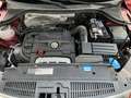 Volkswagen Tiguan 1.4 TSI Sport&Style XENON*Panoramadak*Navi!!! Rot - thumbnail 13