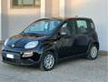 Fiat Panda Panda 1.0 firefly hybrid City Life PREZZO REALE Noir - thumbnail 3