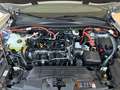 Ford Kuga ST-Line X 2.5 Full Hybrid Aut.(HF45) Anteriore 2WD Wit - thumbnail 31
