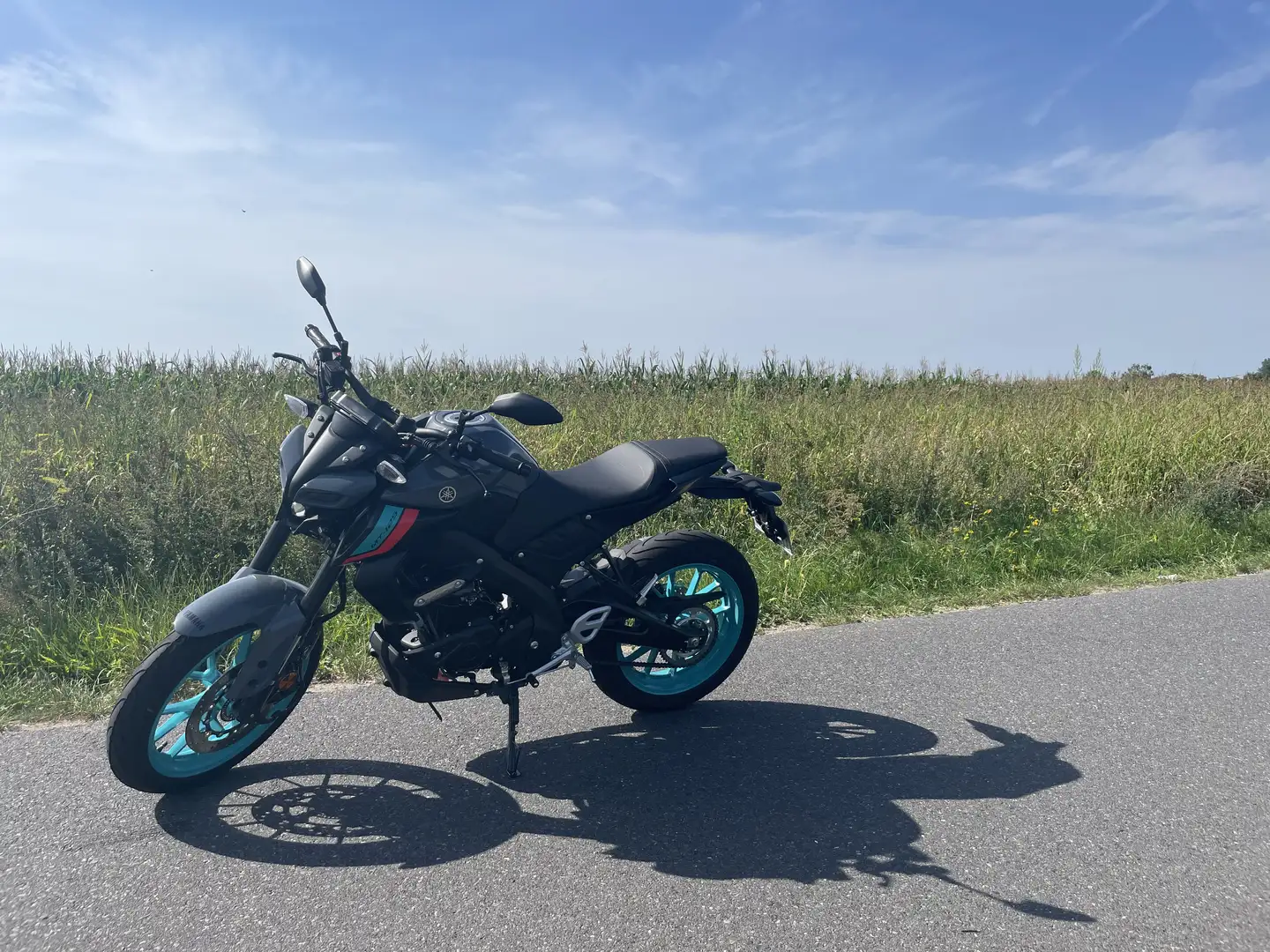Yamaha MT-125 - 2