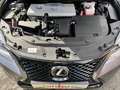 Lexus CT 200h 1.8 Hybrid Shadow Gris - thumbnail 18