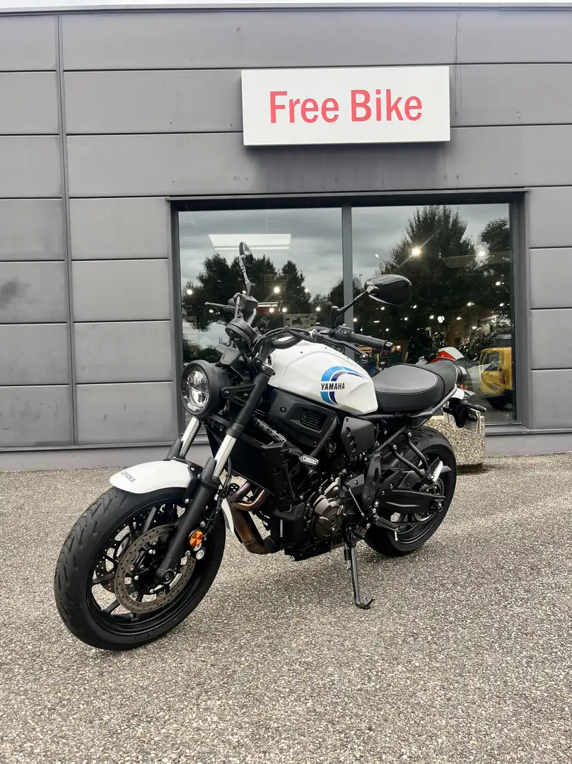 Yamaha XSR 700 Weiß - 1