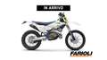 Husqvarna TE 300 2025 - thumbnail 1