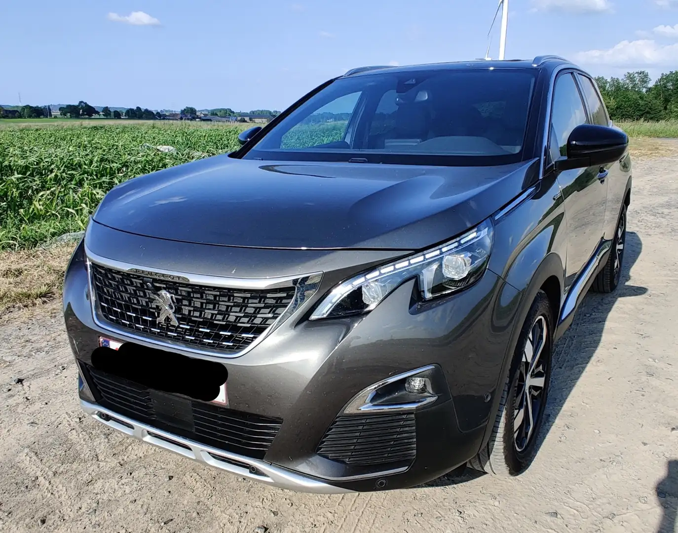 Peugeot 3008 3008 1.2 PureTech GT Line (EU6.2) Grijs - 2
