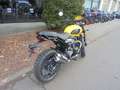 Triumph Scrambler 400 X C Amarillo - thumbnail 3