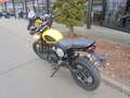 Triumph Scrambler 400 X C Amarillo - thumbnail 9