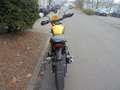 Triumph Scrambler 400 X C Amarillo - thumbnail 4