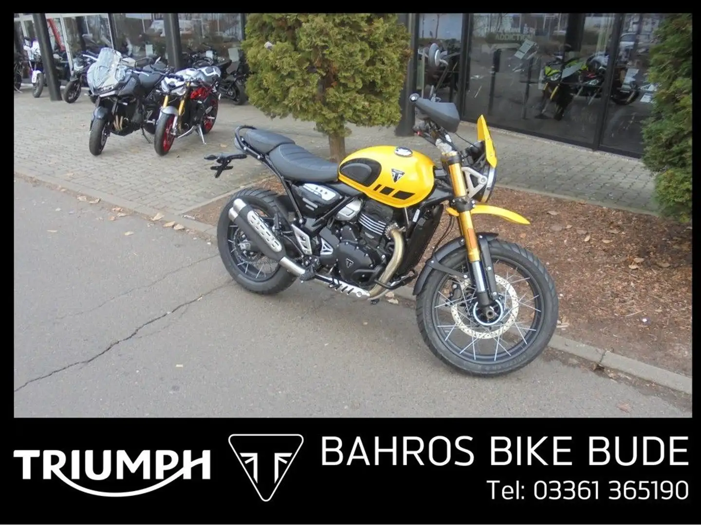 Triumph Scrambler 400 X C Amarillo - 1