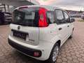 Fiat Panda 1.0 Hybrid PDC KLIMA SPURHALTEASS. Wit - thumbnail 8