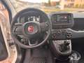 Fiat Panda 1.0 Hybrid PDC KLIMA SPURHALTEASS. Wit - thumbnail 14