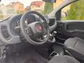 Fiat Panda 1.0 Hybrid PDC KLIMA SPURHALTEASS. Wit - thumbnail 13