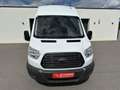 Ford Transit 350 Trend/NAVI/Klima/AHK/ZR-neu Weiß - thumbnail 2