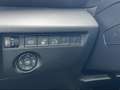 Citroen E-C4 X Electric 100kW Shine Pack Grau - thumbnail 21