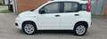 Fiat Panda 0.9 t.air t. natural power Pop 80cv - thumbnail 4