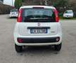 Fiat Panda 0.9 t.air t. natural power Pop 80cv - thumbnail 2