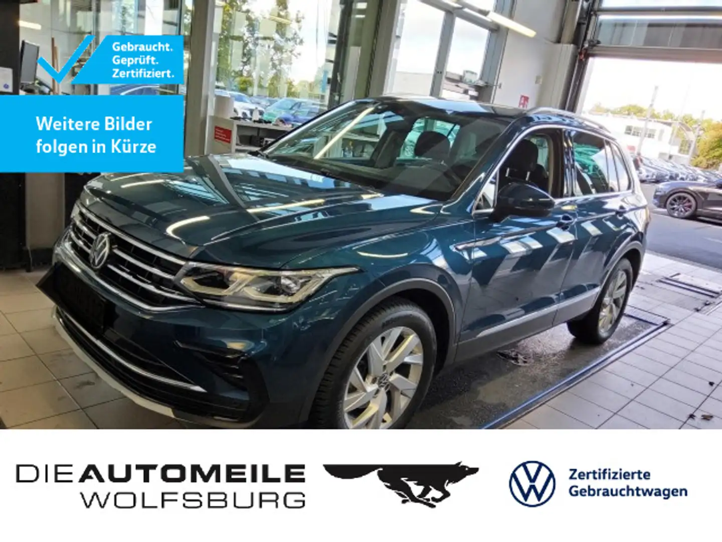 Volkswagen Tiguan 2.0 TDI DSG Elegance Rückfahrkam/Matrix/A Blau - 1