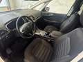 Ford Galaxy 2,0 EcoBlue SCR AWD Titanium Aut. LED SCHEINWER... Weiß - thumbnail 4