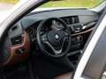BMW X1 20 d xDrive *Pano*SHZ*Kamera Weiß - thumbnail 12
