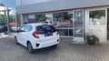 Honda Jazz JAZZ 1.3 ELEGANCE Weiß - thumbnail 7