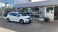 Honda Jazz JAZZ 1.3 ELEGANCE Weiß - thumbnail 1