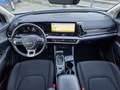 Kia Sportage Sportage 1.6 tgdi mhev Business dct Grigio - thumbnail 8