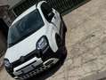 Fiat Panda Panda III 2021 1.0 firefly hybrid City cross Bianco - thumbnail 2