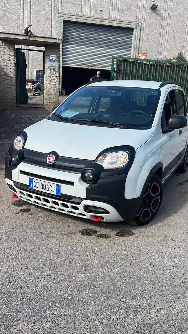 Fiat Panda Panda III 2021 1.0 firefly hybrid City cross Bianco - 1