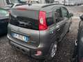 Fiat Panda FIAT PANDA 2023 SINISTRATA Gris - thumbnail 8