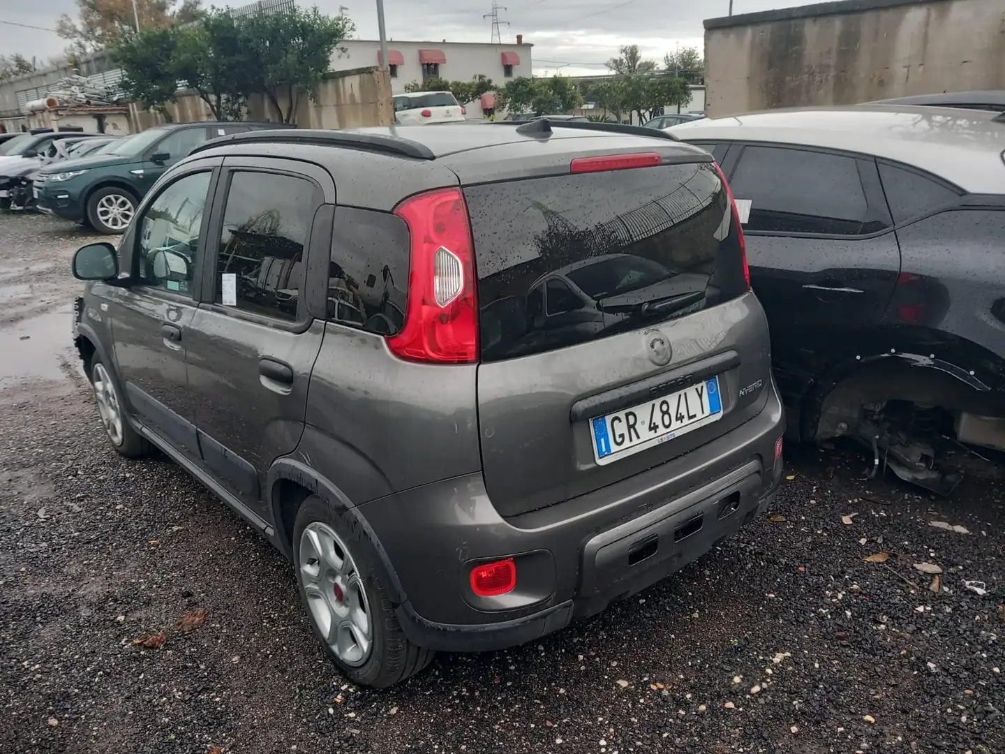 Fiat Panda FIAT PANDA 2023 SINISTRATA Grigio - 2