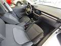 Skoda Fabia 1.0 TSI Selection SmartLink/Tempomat/Kamera/5Jahre Blanc - thumbnail 13