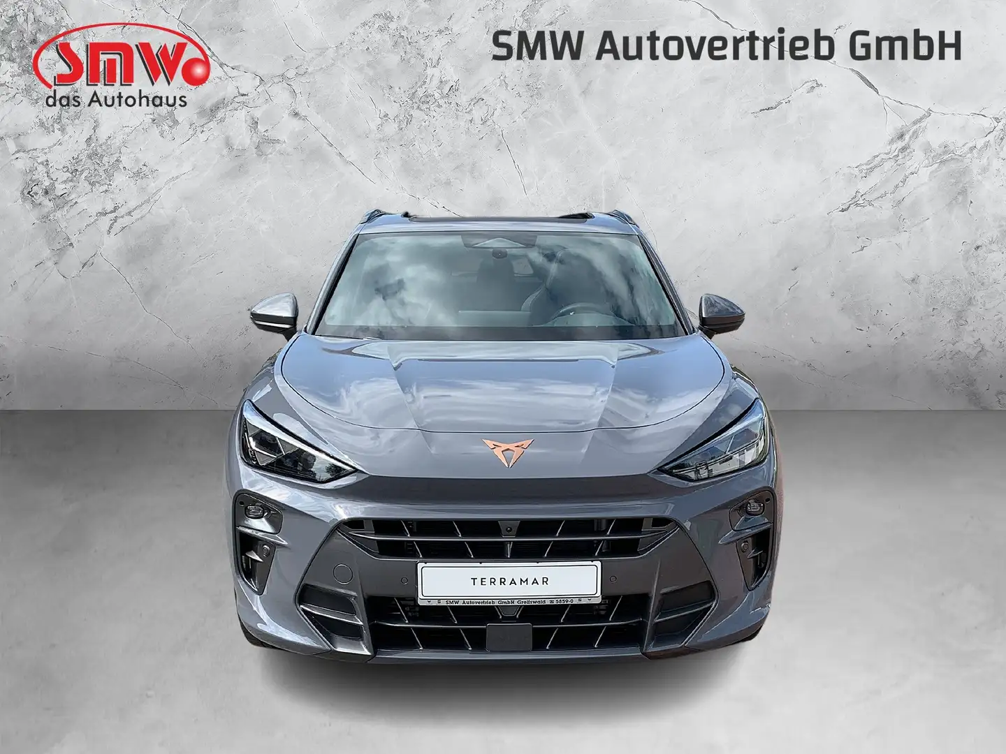 CUPRA Terramar 2.0TSI 265PS VZ MATRIX / 20ZOLL/ SENNHEISER Gris - 2